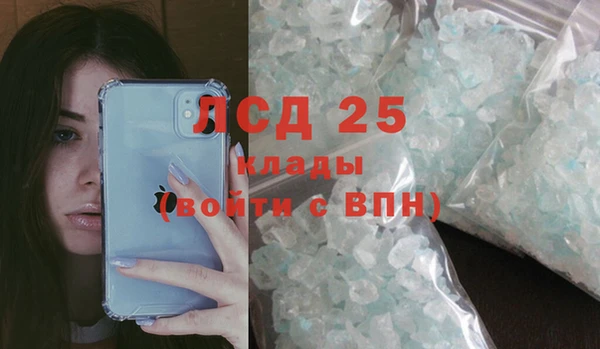 прущий лед Алзамай