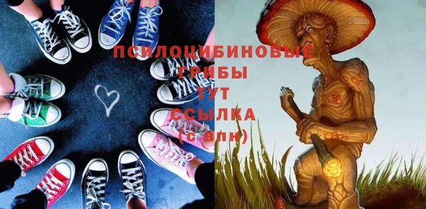 прущий лед Алзамай