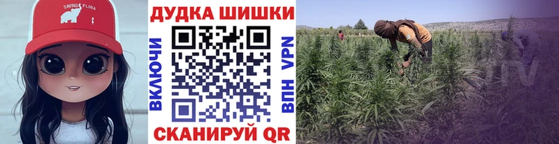 МАРИХУАНА ГИДРОПОН Павловская
